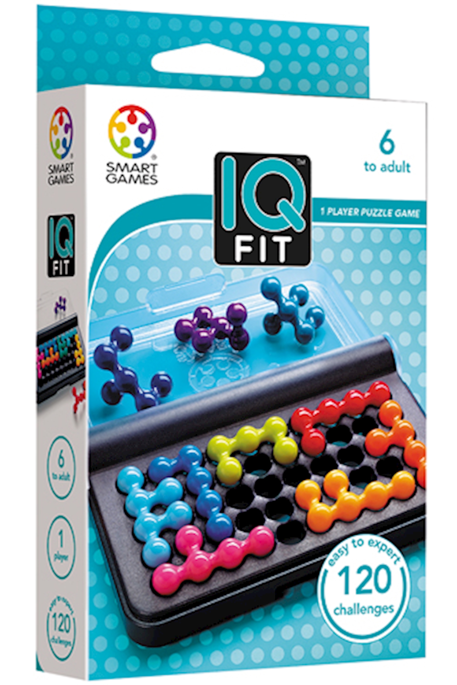 IQ Fit - Image 2