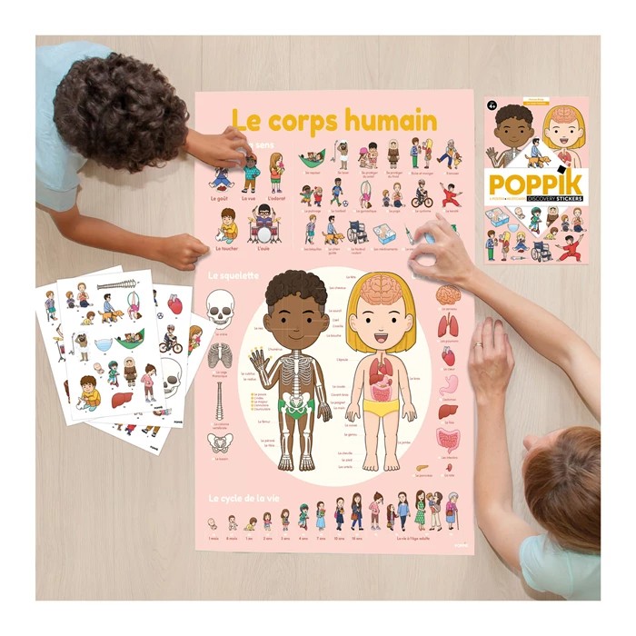Poster Pédagogique - Le Corps Humain - Image 2