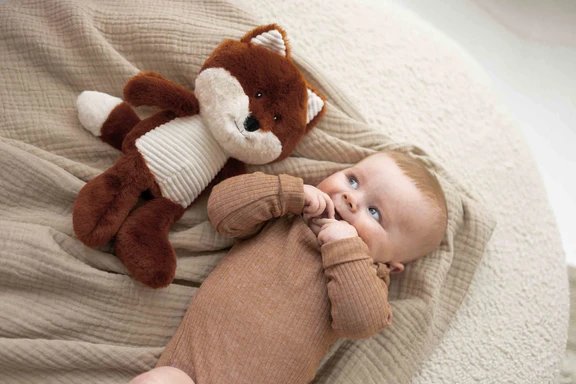 Robin - Doudou Boîte à Musique - Image 6